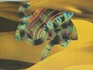 Django Django by Django Django.