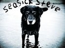 Seasick Steve - You Can't Teach an Old Dog New Tricks