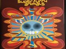Signed Rings Around The World Super Furry Animals Gatefold Double Album + 7inch