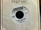 The Rockin Berries - What In The World's Come Over You 7