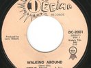 HEAR Steve Ellis And His Starfires-Walking Around '65 MN GARAGE POP GEM 2-SIDER