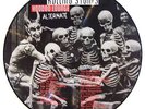 ROLLING STONES LP VINYL - voodoo lounge alternate- LIMITED EDITION PICTURE DISC