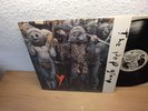 The Pop Group, Y, 1979 Radarscope UK LP Record Album Very Rare