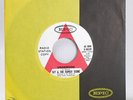 SLY & THE FAMILY STONE UNDERDOG 7