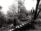Timber Timbre - TIMBER TIMBRE [LP]