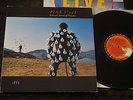 Pink Floyd - Delicate Sound Of Thunder (EMI UK Original Double LP 1988) Nice