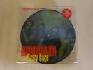 VG+ Soundgarden Rusty Cage/Touch Me RARE UK PICTURE DISC 7