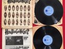 HOW BLUE CAN WE GET? (1970)BLUES COMPILATION 2 LP BLUE HORIZON PR 45/46 UK PRESS