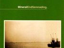 Mineral Endseranading Vinyl 2 LP Sunny Day Real Estate American Football Band