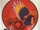 David Bowie - The Man Who Sold The World (RSD 2016 Picture Disc Vinyl Album)