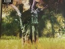 ANIMAL COLLECTIVE Meeting Of The Waters RSD 2017 Vinyl Record Store Day  NEW