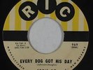 R&B Soul 45 - Eddie Bo - Every Dog Got His Day - Ric - VG+ mp3