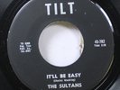 Hear  Doo Wop 45 The Sultans - It'Ll Be Easy / You Got Me Goin' On Tilt