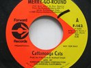Hear  Pop Psych Promo 45 Cattanooga Cats - Merry-Go-Round / Country Carnival On