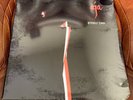 Steely Dan - Aja Sealed AA-1006 1977 US Pressing ABC Label
