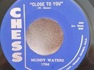 Muddy Waters   Chess 1704  