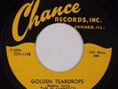 THE FLAMINGOS: Golden Teardrops / Carried Away CHANCE R&B Doo Wop 45 VG++