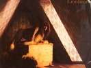 Lionheart  Kate Bush Vinyl Record