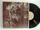 DAVID W PETERS hey there anyone LP --- private loner psych folk --- HEAR