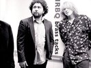 NRBQ - BRASS TACKS NEW VINYL