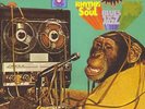 OZKENT , MUSTAFA - GENCLIK ILE ELELE NEW VINYL