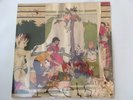 ANIMAL COLLECTIVE 