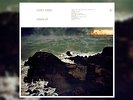 FLEET FOXES Crack Up - LP New Limited Blue/Gold Vinyl - Only 1500 Made Sold Out