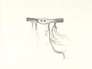IN OUR NATURE [VINYL] [VINYL] JOSE GONZALEZ NEW VINYL