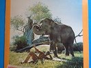 Hugh Masekela-I Am Not Afraid-1974 Blue Thumb-PROMO-VG++/M-  UNPLAYED-JAZZ FUNK