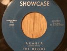 THE DELCOS northern soul doo wop 45 Arabia / Those Three Little Words   Showcase
