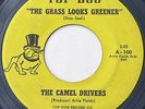 Michigan Garage FUZZ 45 - CAMEL DRIVERS - The Grass Looks Greener - TOP DOG 100