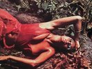 ROXY MUSIC - STRANDED NEW VINYL RECORD