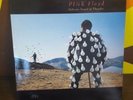 Pink Floyd DELICATE SOUND OF THUNDER Doppio Double LP Vinile Italy 1988