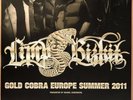 LIMP BIZKIT  2011 OBERHAUSEN - orig.Concert Poster -- Konzert Plakat  A1 NEU