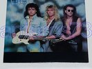 FLORENCE 99 RARE AOR LP SS OXIDO VANADIUM