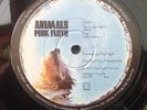 PINK FLOYD 