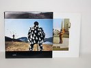 PINK FLOYD Delicate Sound Of Thunder Live & Wish You Were Here LP Record Bundle