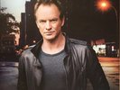 STING  2017 MÖNCHENGLADBACH - orig.Concert Poster -- Konzert Plakat  A1 NEU