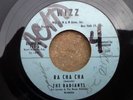 Rare Doo Wop 45  The Radiants  Ra Cha Cha  I'll Never Be Mean  Wizz-713 Label