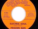Psych Fuzz Funk 45 - Frozen Sun - Electric Soul - Capt. Zoomar - EXTREMELY rare