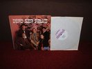 DEAD SEA FRUIT 1st LP 1967 MONO 1st Press  A1/B1  MINT / UNPLAYED