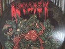 Autopsy - Mental Funeral 1st Press 1991 Pic LP. Bolt Thrower, Carcass, Gorguts.