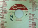 Rare Canadian 45 The Guess Who? Believe Me