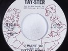 Northern Soul 45 LITTLE JEWEL I Want To TAY-STER HEAR VG++/VG+ promo