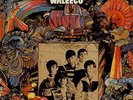 Flat Earth Society Waleeco UK vinyl LP album record LIGHTFLASHLP018