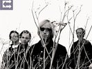PETTY,TOM & HEARTBREAKERS-ECHO  VINYL LP NEUF