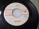 Teddy Redell Judy rockabilly 45 on Vaden mp3