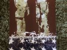 AMERICAN NIGHTMARE Give Up The Ghost Wes Eisold Cold Cave Poster 11x17 RARE
