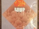 BUMP private michigan rock pop psych original 1970 LP in shrink   Pioneer