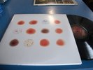 Peter Gabriel - Scratch My Back,and I'll Scratch Yours 2 LP / CD Set Near Mint